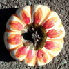 Sunflower Pumpkin Painting