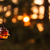 Landscapes and Outdoor