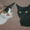 Amber and Lucky 
