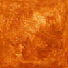 Golden stardust fallen on the cold Sahara desert sand.