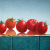 Tomaten op glasplaat
