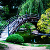 Japanese Gardens 3