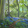 Forest Path with Blue Bells 
