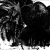 Kids Book Bear+Palm Tree Shadow Sketch