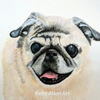 Sweet little pug dog