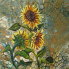 Sundays Sunflowers