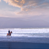 5 10 Inch Beach IMG 5414-1