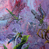 Dragonfly  Abundance