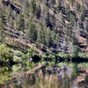 Salmon River