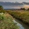 Alhambra Creek - September 15  2025