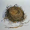 Nest
