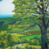 view from the old oak tree