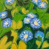 Morning Glories