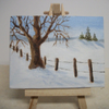 Winter fields
