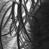 ft-thistle-DSC 0977