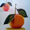 An Orange