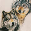 Splendid Companions 