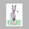 Whimsical Gray Dappled Horse 
