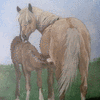 Mare and Foal