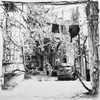 Tbilisi. An Old Courtyard