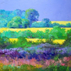 Rapeseed fields