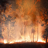 Prescribed burning in the Northern Territory (NT) 2.