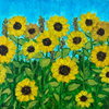 Field of Sunflowers
