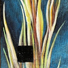 Crexis