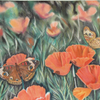 Buckeyes and Poppies #1 