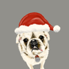santa pug grey