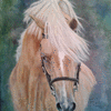 Palomino Prince