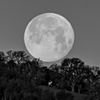 Snow Moon - February 2 2026