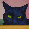 Black Cat - Yellow/Green Eyes