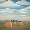 the harvest