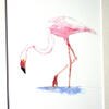 Flamingo Pair 2