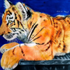 Tiger Fini