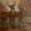 Buck and Doe