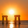 Sunset over Fort Myers Beach pier