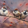 Three Sparrows
