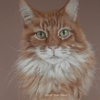 Clyde Edwards finished copyright