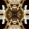 Crexis