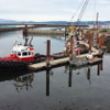 Tugboat at Ogden Point