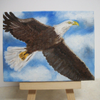 On wings like eagles