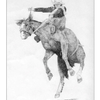 bronc rider