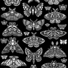 Butterfly Montage