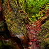 Sitka Alaska