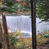 TAHQUAMENON FALLS  U. P. OF MICHIGAN.