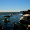 Shell Beach California 