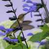 IMG 4897