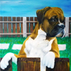 Boxer 